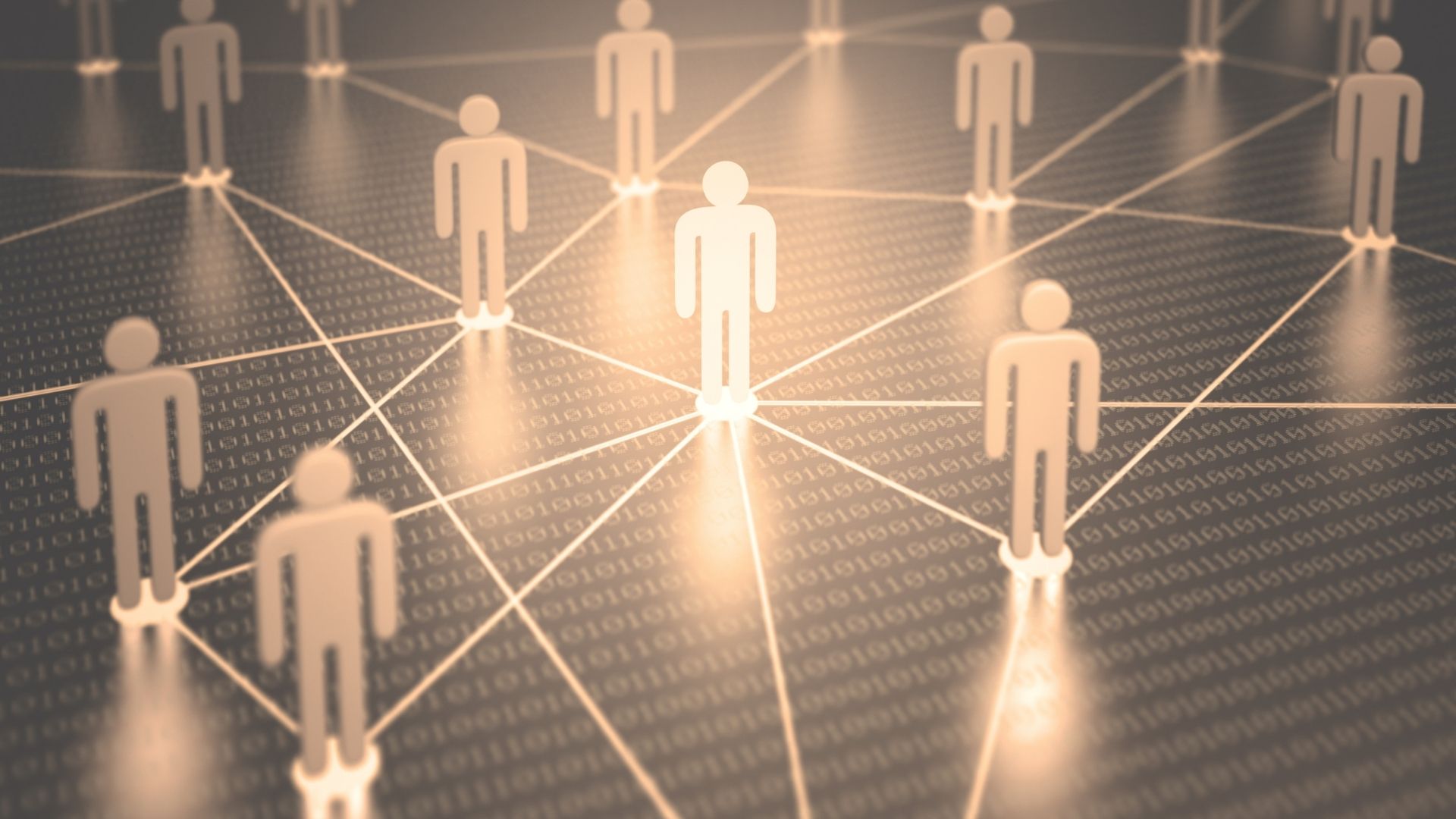 Connection built on understanding