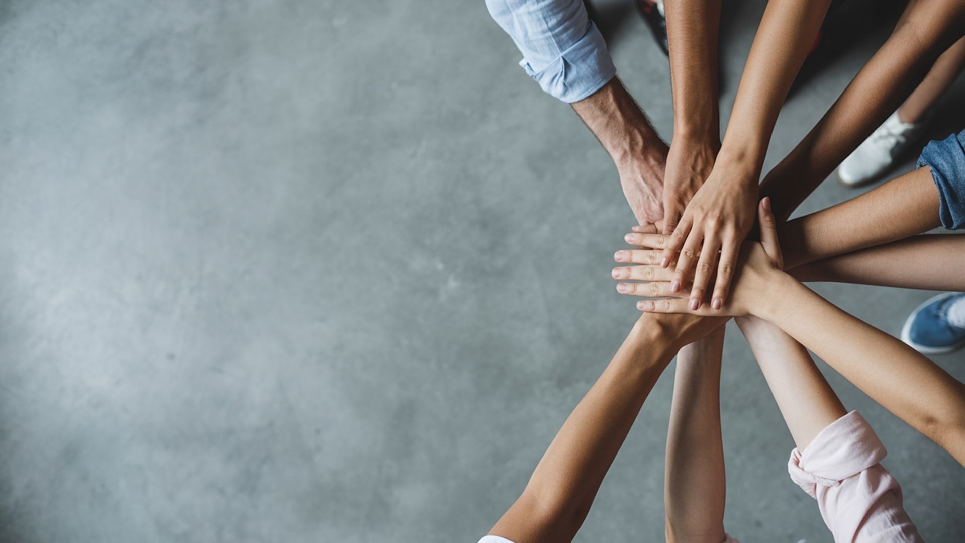 Connection built on understanding